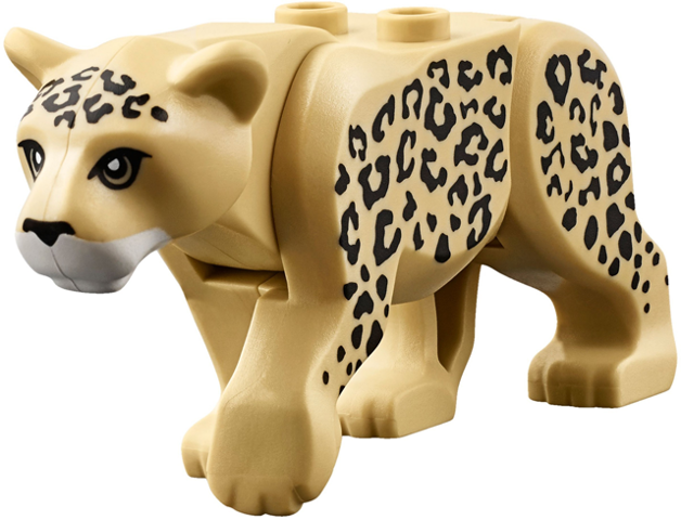 Cat, Large (Leopard) with Black Eyes, Nose and Rosettes, White Muzzle Pattern